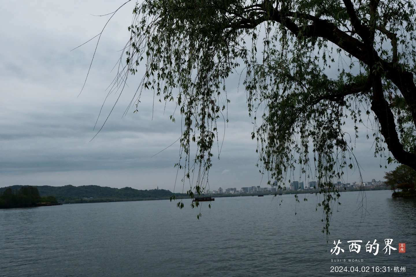 柳枝与湖面 · 杭州 · 2024.04.02 16:31